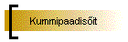 Kummipaadis�it