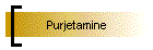 Purjetamine