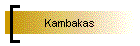 Kambakas