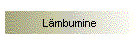 L�mbumine