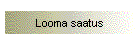 Looma saatus