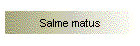 Salme matus