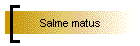 Salme matus