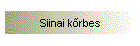 Siinai k�rbes