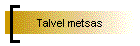 Talvel metsas