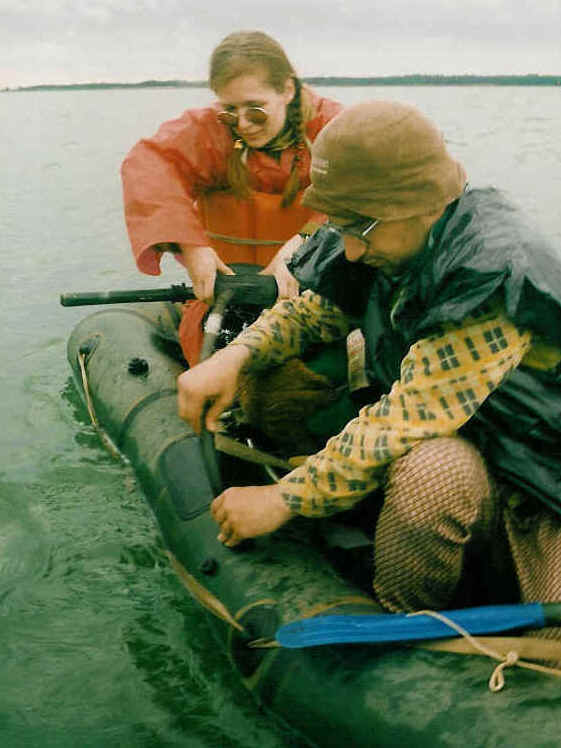 Paadi pumpamine merel.