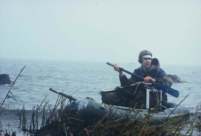 Noarootsist Hobulaiule.