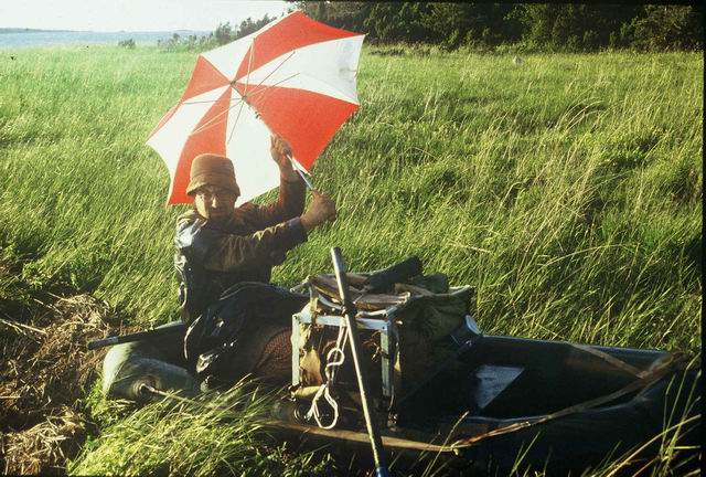 Tarmo ja vihmavarjust puri. Hobulaiu loodenurk.
